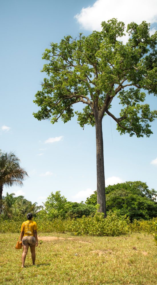 Quilombo Ariramba, Inês